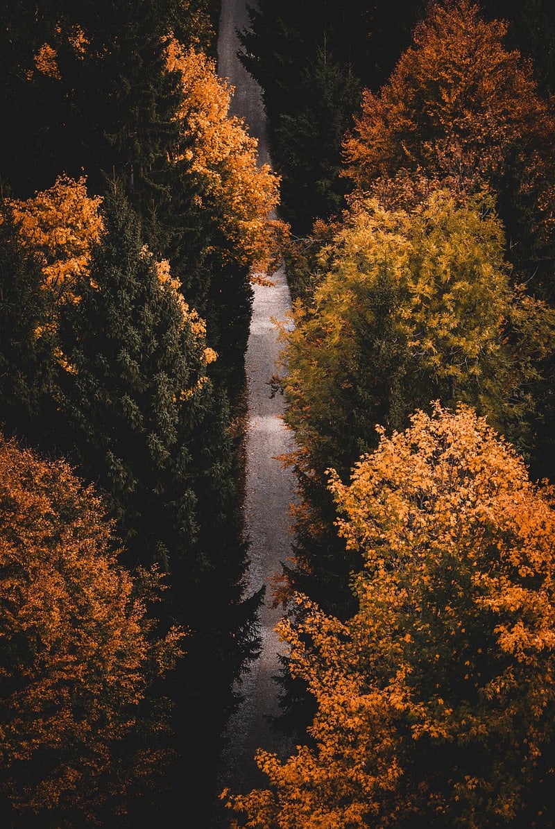 Hiking in nature